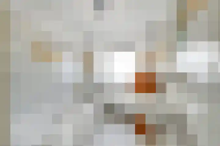Vogeldreef 5 Zoetermeer thumbnail 24