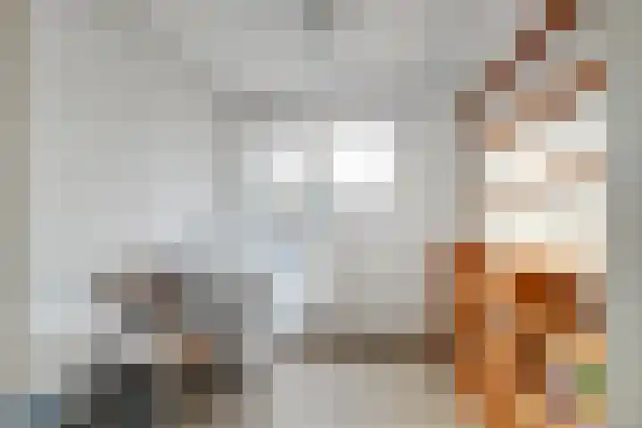 Vogeldreef 5 Zoetermeer thumbnail 31