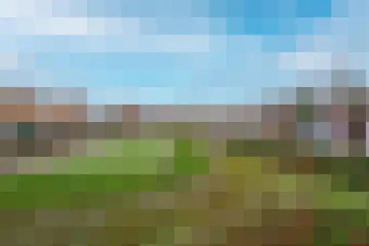 Vogeldreef 5 Zoetermeer thumbnail 34