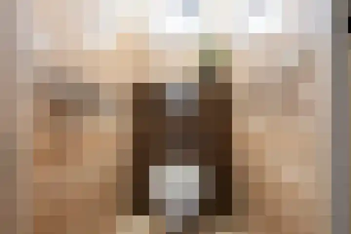 Vogeldreef 5 Zoetermeer thumbnail 4