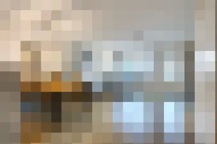 Vogeldreef 5 Zoetermeer thumbnail 5