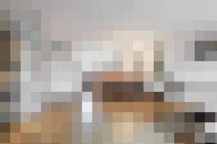 Vogeldreef 5 Zoetermeer thumbnail 8