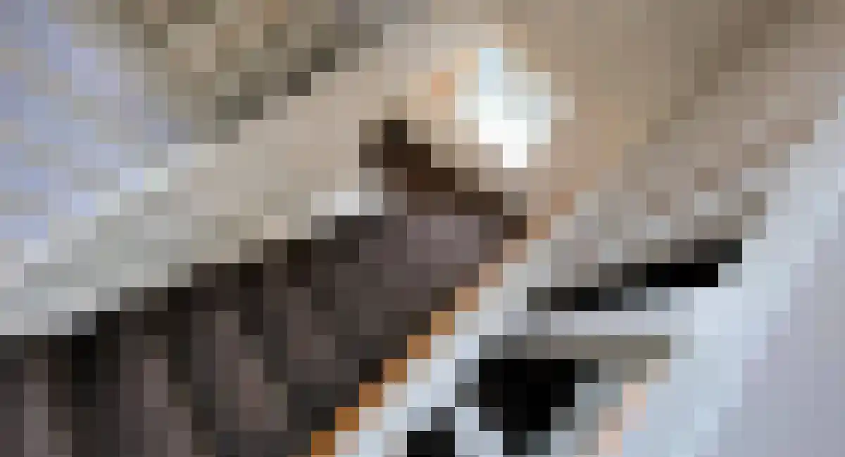Vogelensangsteeg Gorinchem thumbnail 6