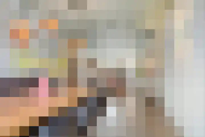 Vogelenveld 62 De Zilk thumbnail 13