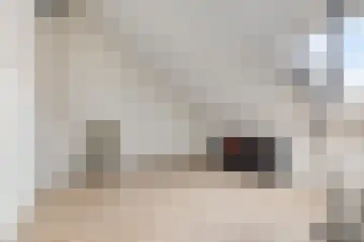 Vogelenveld 62 De Zilk thumbnail 33