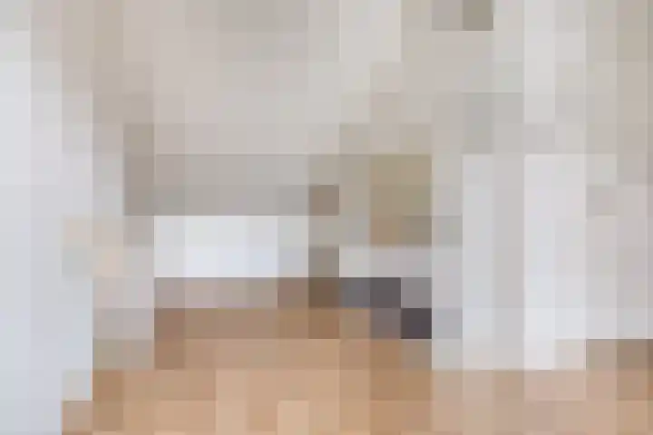 Vogelenveld 62 De Zilk thumbnail 35