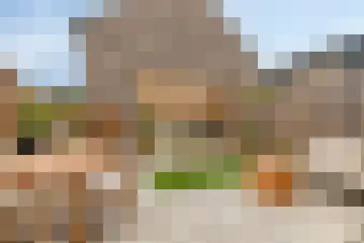 Vogelenveld 62 De Zilk thumbnail 38