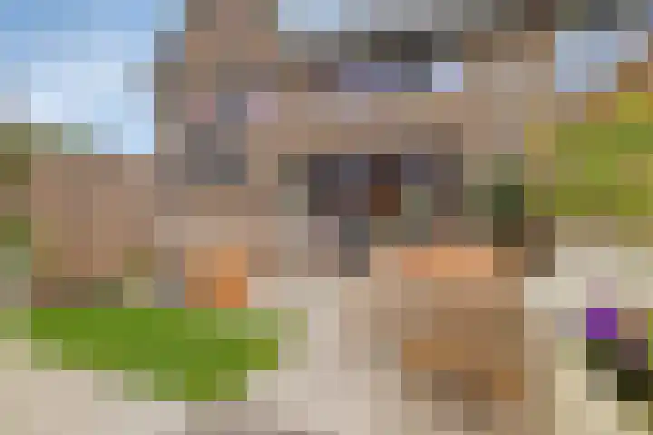 Vogelenveld 62 De Zilk thumbnail 4