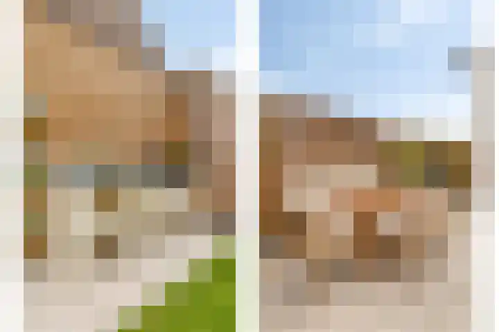Vogelenveld 62 De Zilk thumbnail 40