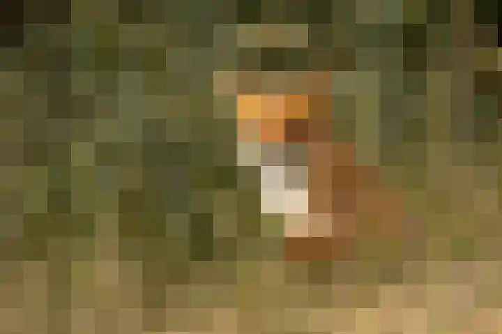 Vogelenveld 62 De Zilk thumbnail 46