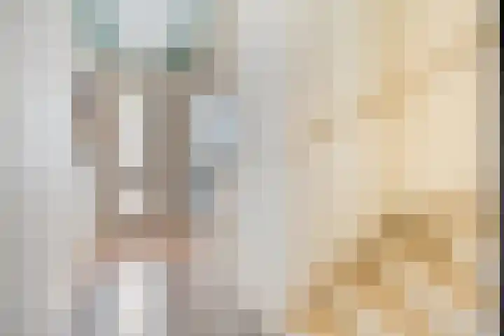 Vogelenveld 62 De Zilk thumbnail 8