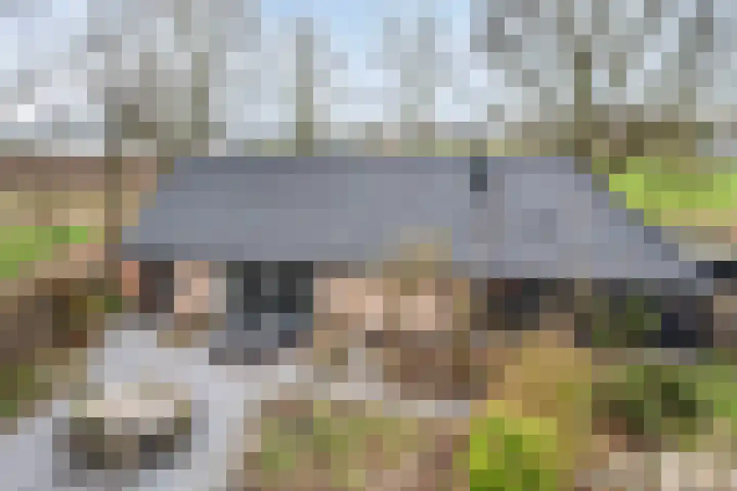 Vogelenzang 10 Chaam