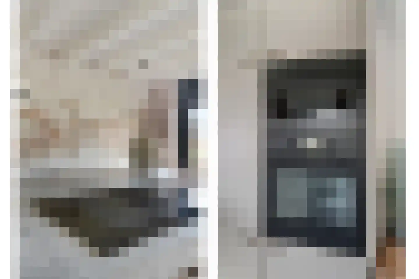 Vogelenzang 10 Chaam thumbnail 10