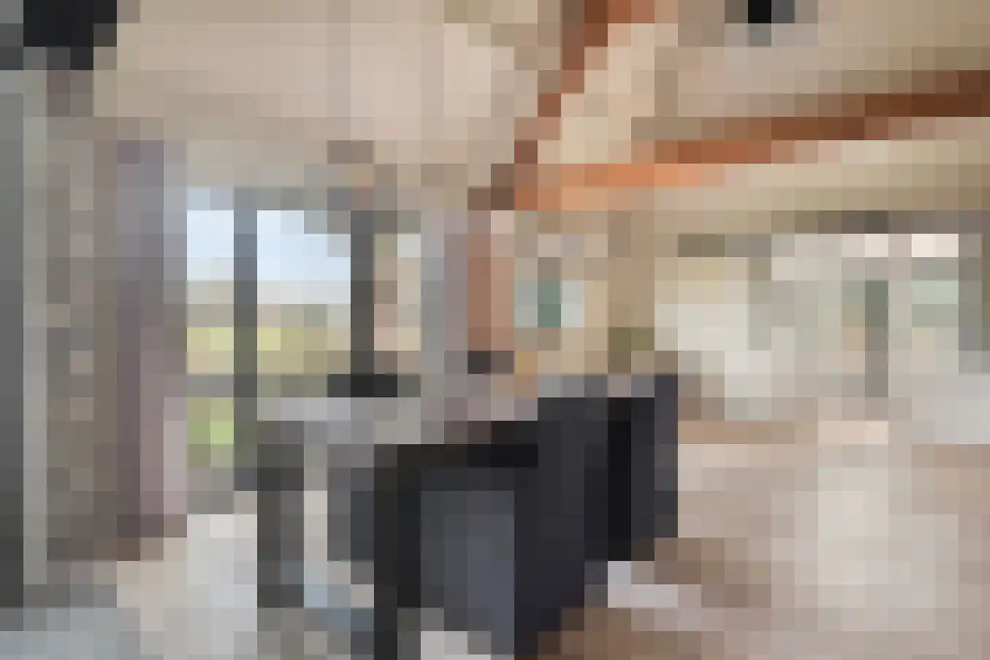 Vogelenzang 10 Chaam thumbnail 12