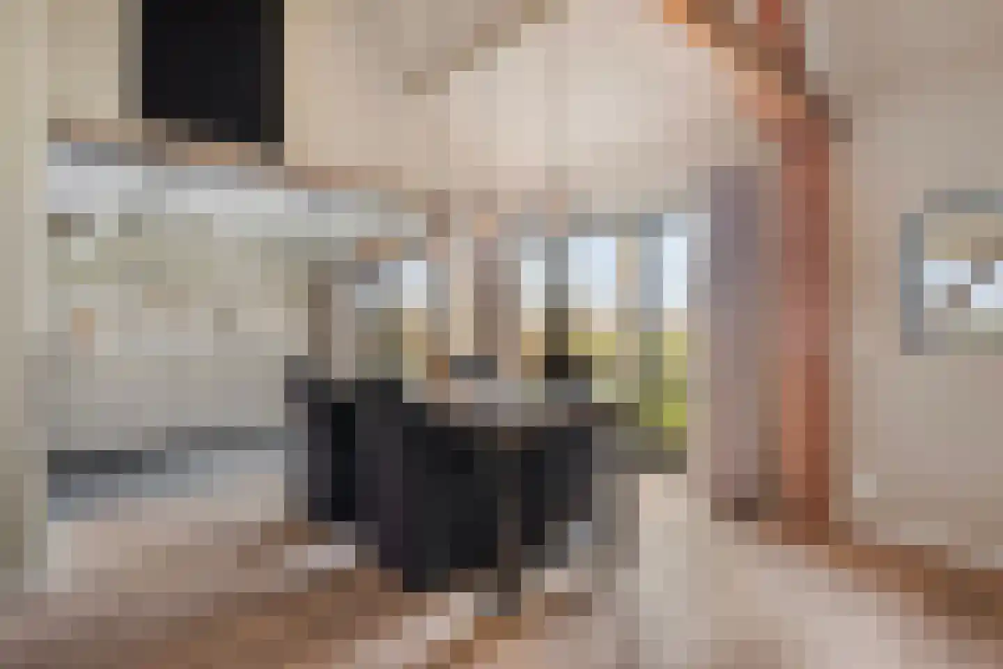 Vogelenzang 10 Chaam thumbnail 13