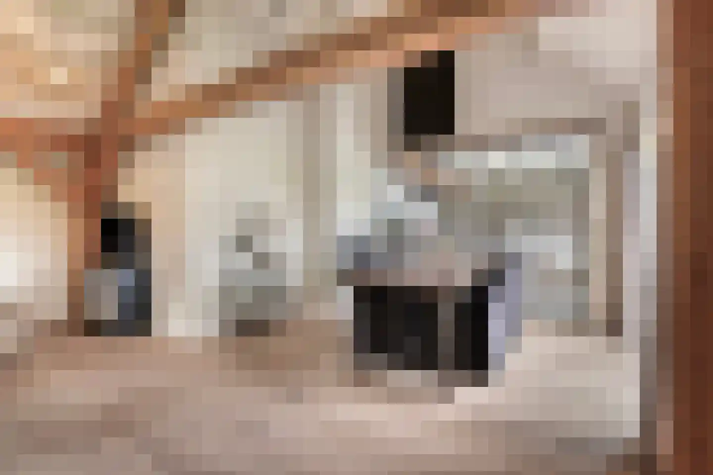 Vogelenzang 10 Chaam thumbnail 14