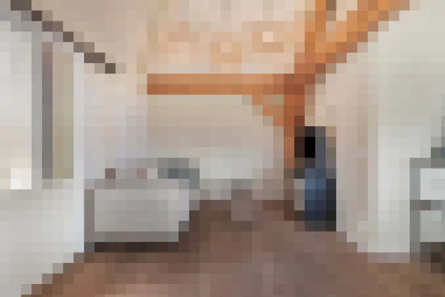 Vogelenzang 10 Chaam thumbnail 16