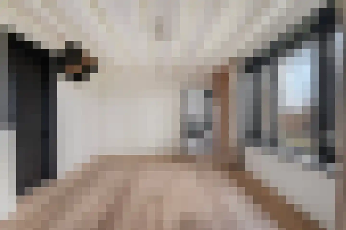 Vogelenzang 10 Chaam thumbnail 22