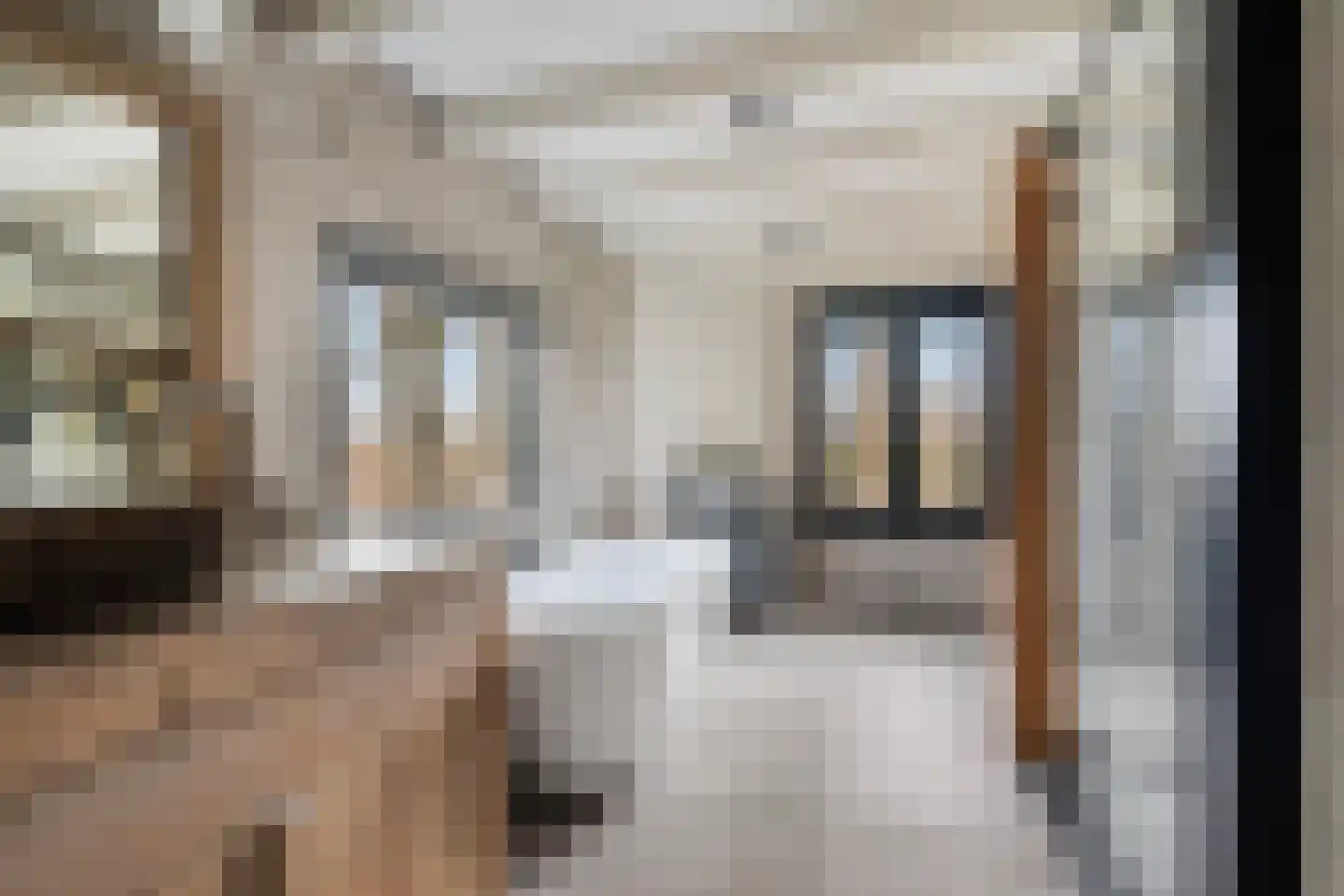 Vogelenzang 10 Chaam thumbnail 23