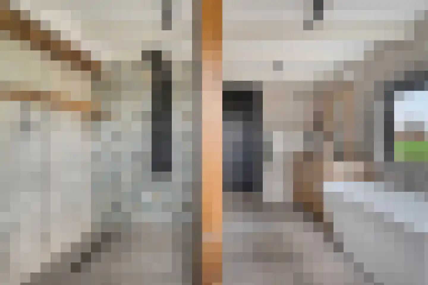 Vogelenzang 10 Chaam thumbnail 26