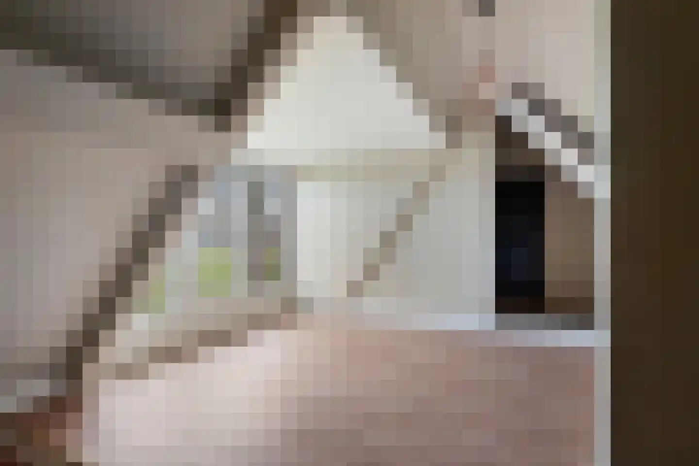Vogelenzang 10 Chaam thumbnail 28