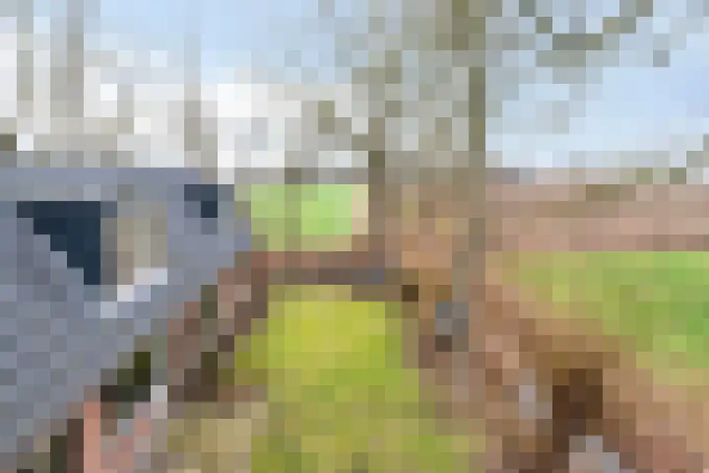 Vogelenzang 10 Chaam thumbnail 31