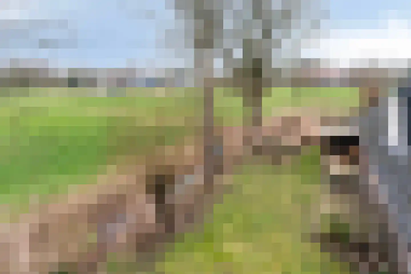 Vogelenzang 10 Chaam thumbnail 32