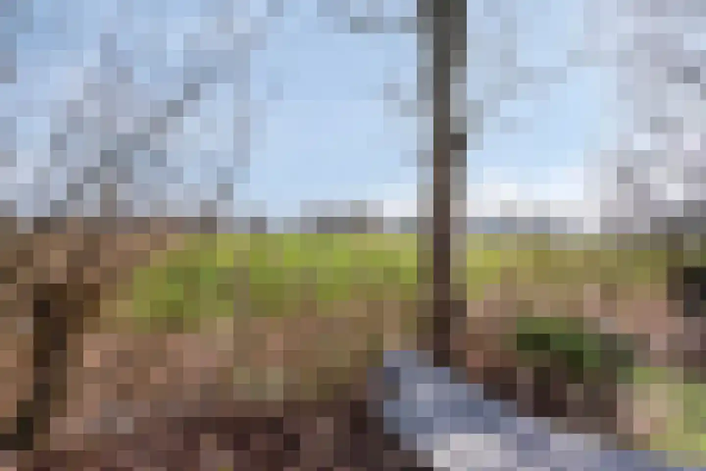 Vogelenzang 10 Chaam thumbnail 34