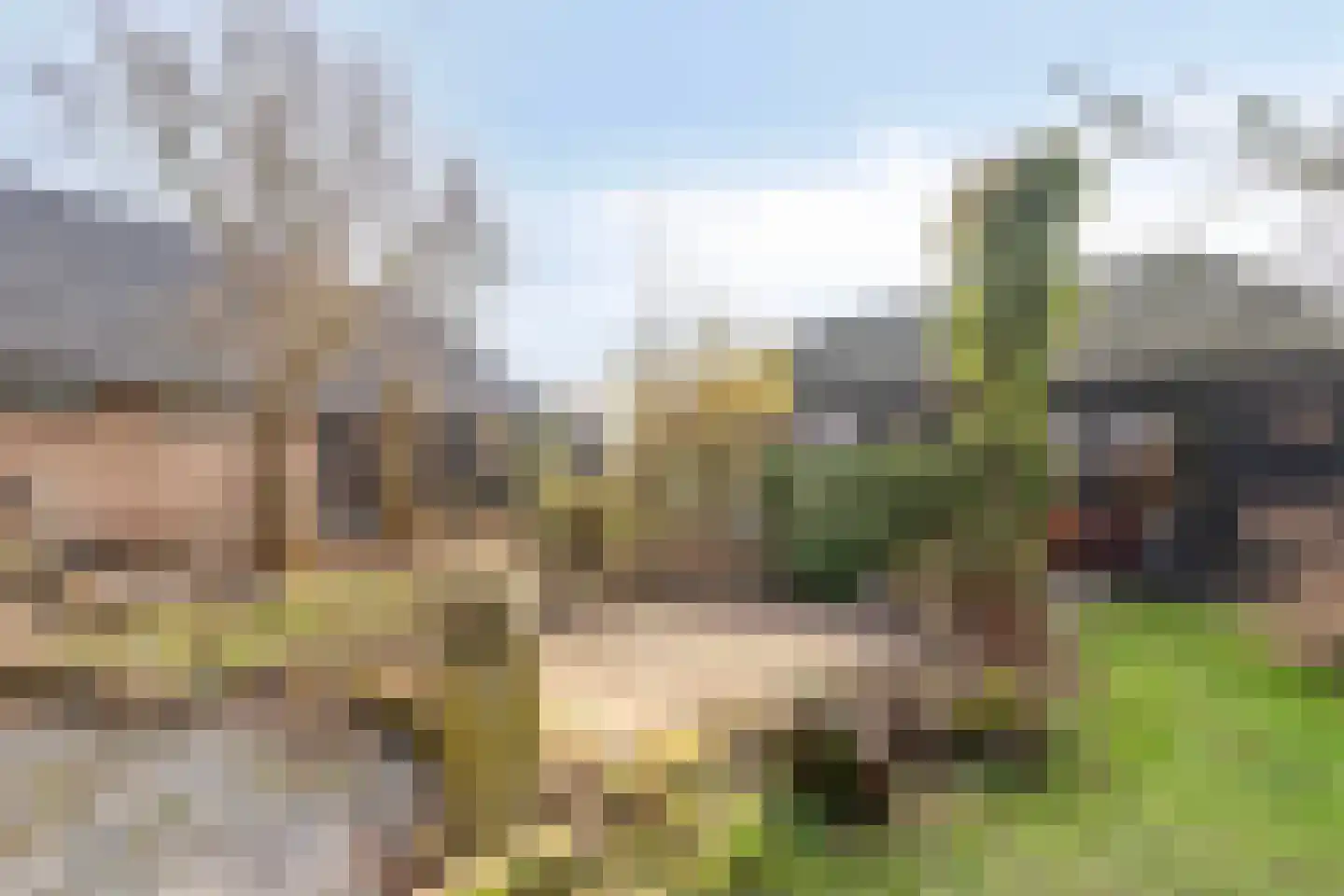 Vogelenzang 10 Chaam thumbnail 35
