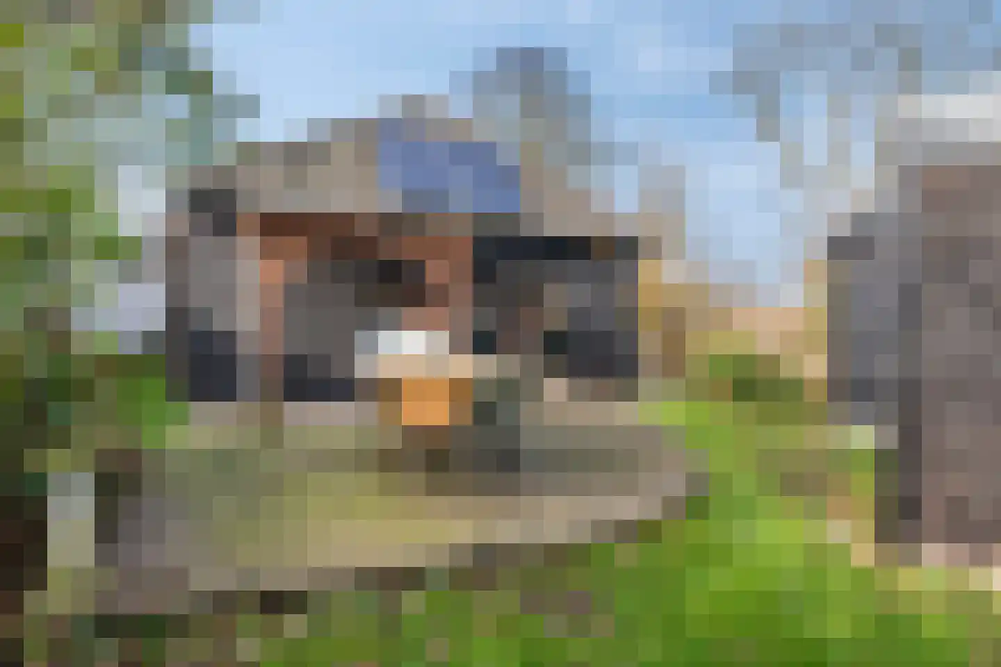Vogelenzang 10 Chaam thumbnail 37