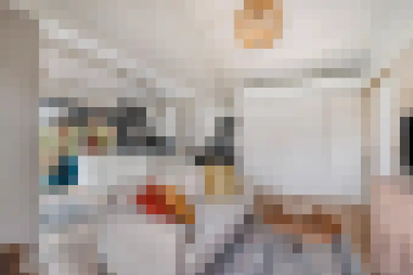 Vogelenzang 10 Chaam thumbnail 38