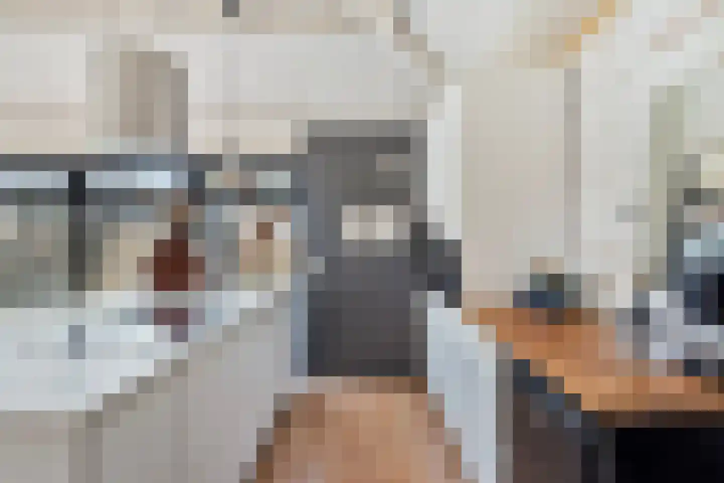 Vogelenzang 10 Chaam thumbnail 42