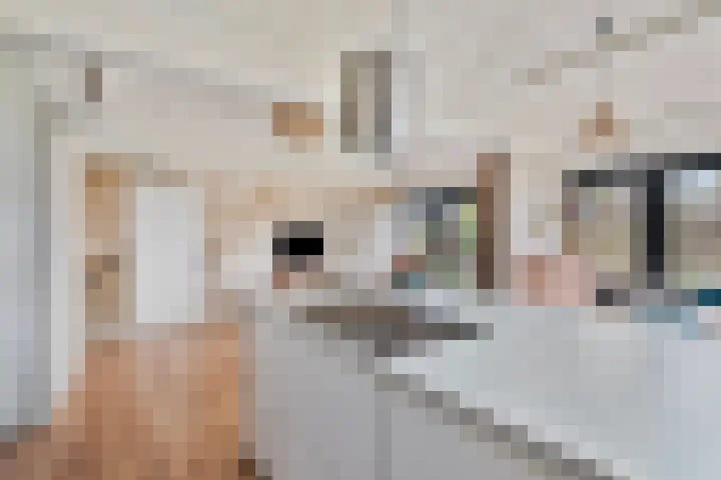 Vogelenzang 10 Chaam thumbnail 43