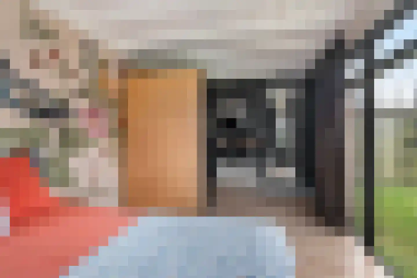 Vogelenzang 10 Chaam thumbnail 45
