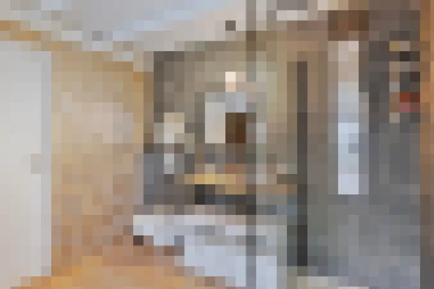 Vogelenzang 10 Chaam thumbnail 46