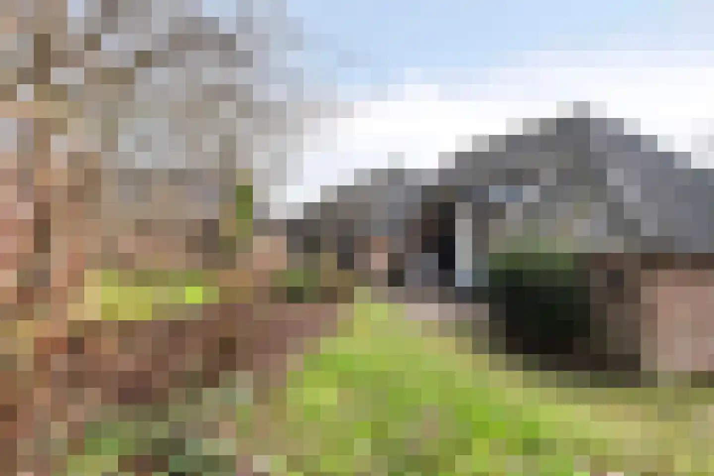 Vogelenzang 10 Chaam thumbnail 48