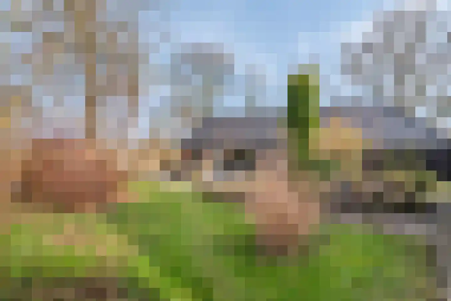 Vogelenzang 10 Chaam thumbnail 49