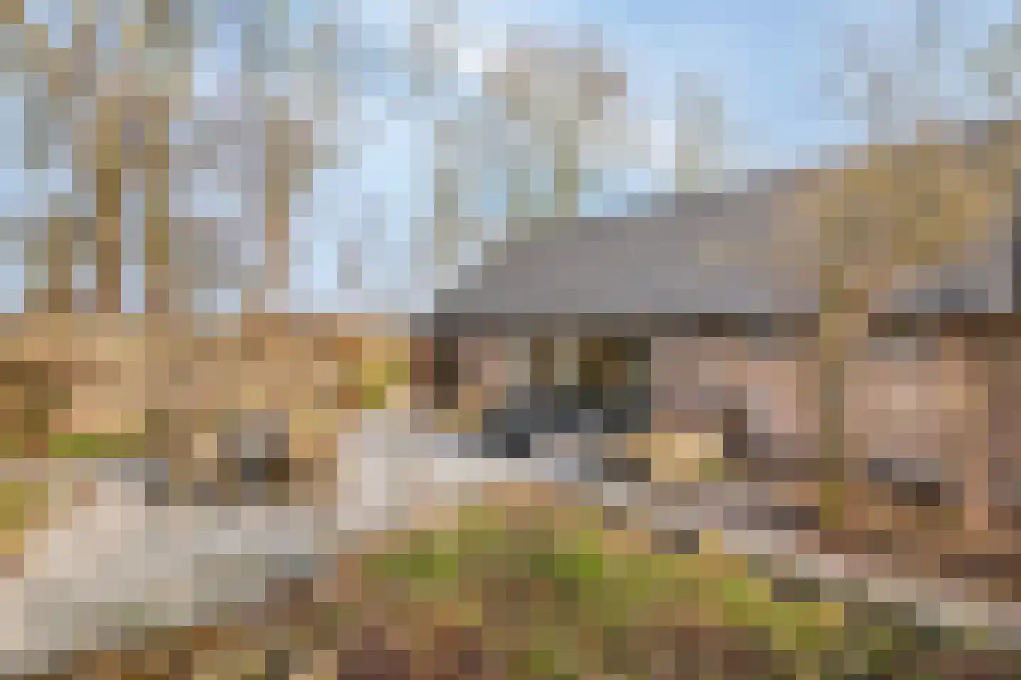 Vogelenzang 10 Chaam thumbnail 50