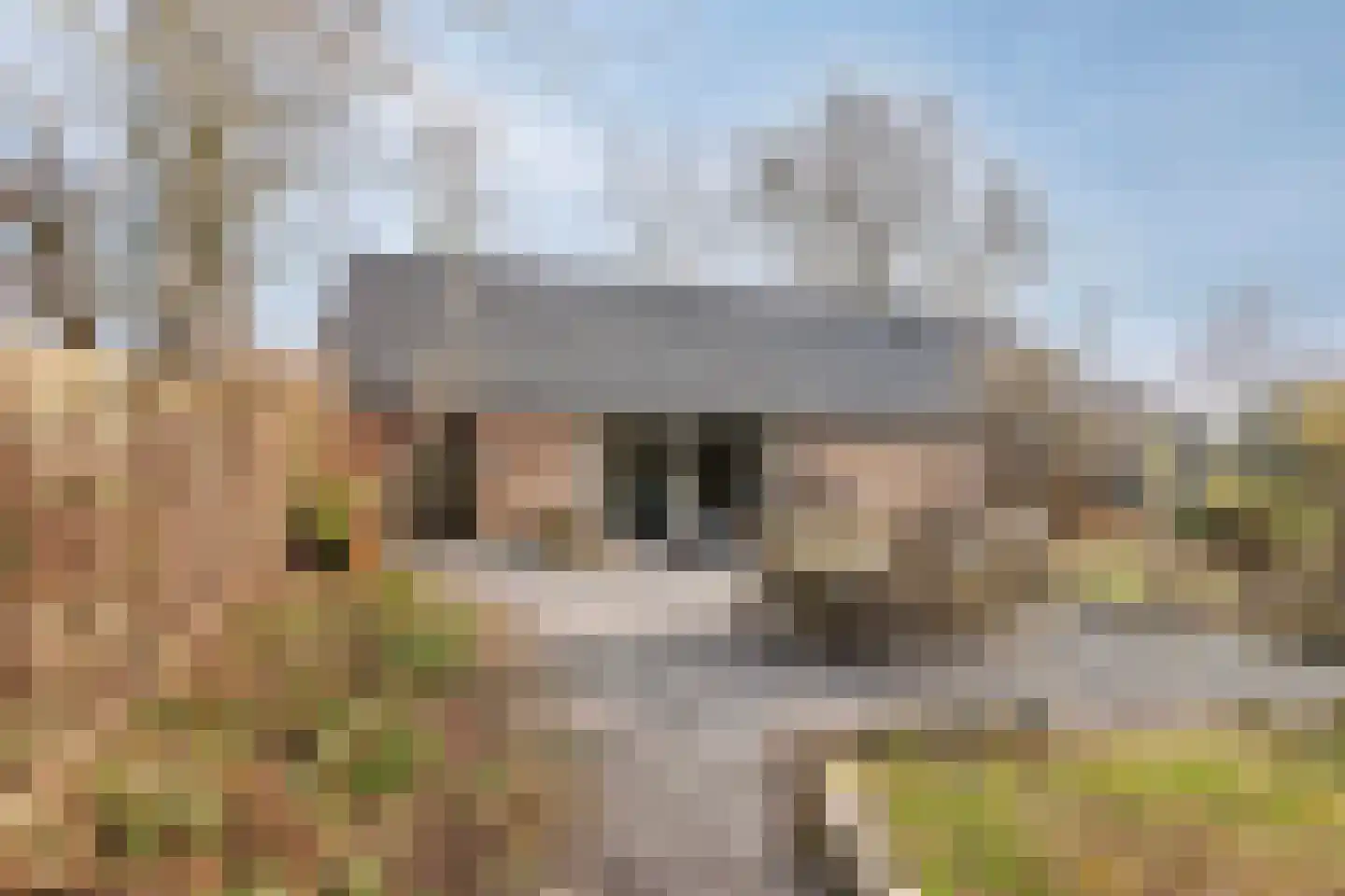 Vogelenzang 10 Chaam thumbnail 51