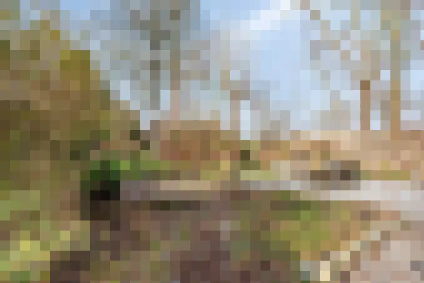 Vogelenzang 10 Chaam thumbnail 52