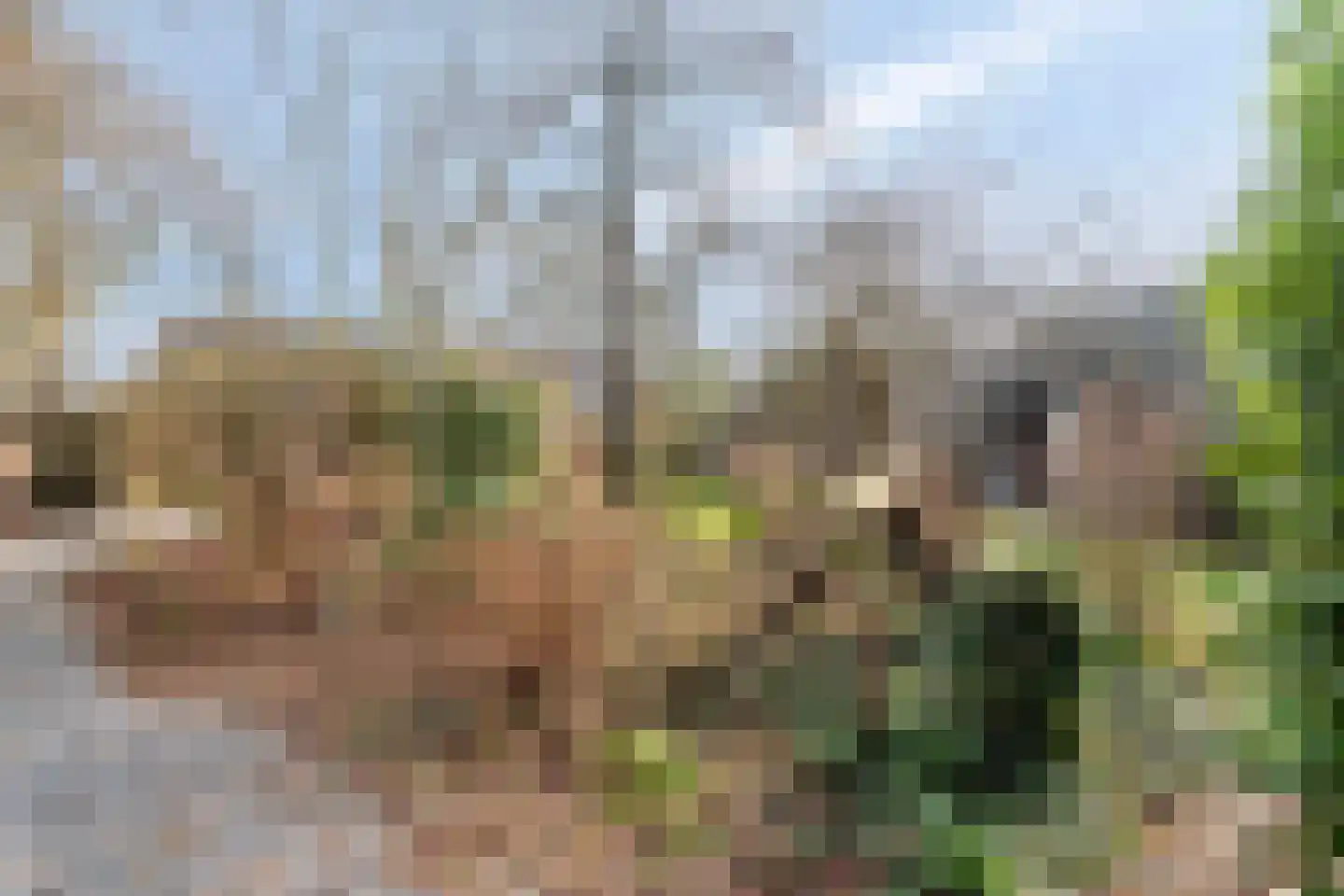 Vogelenzang 10 Chaam thumbnail 53