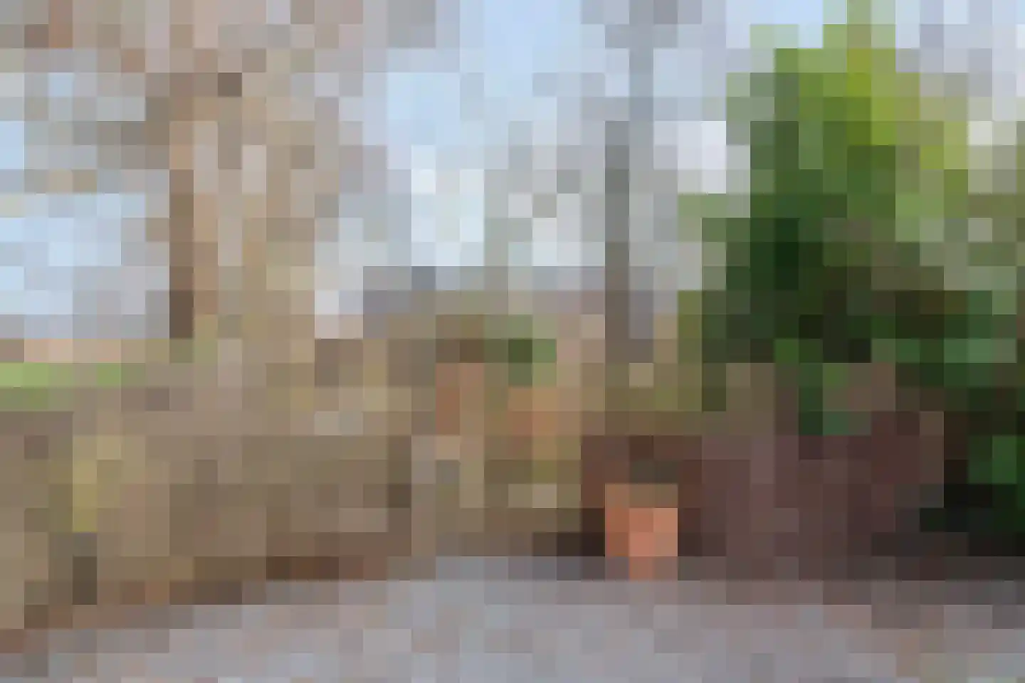 Vogelenzang 10 Chaam thumbnail 54