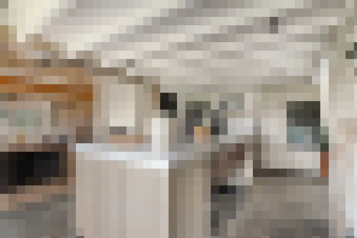Vogelenzang 10 Chaam thumbnail 7