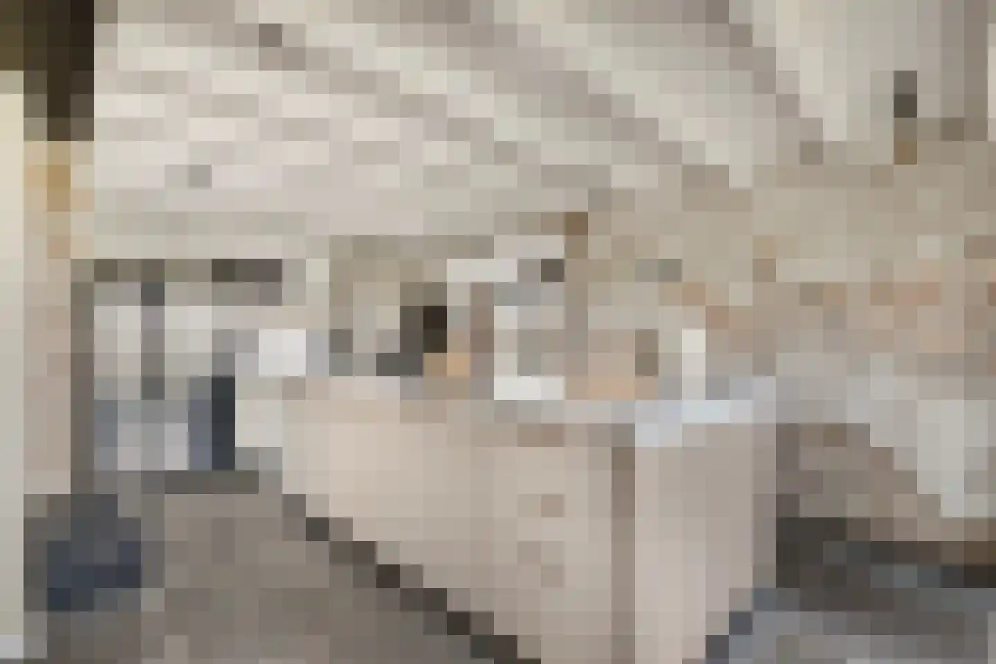 Vogelenzang 10 Chaam thumbnail 8