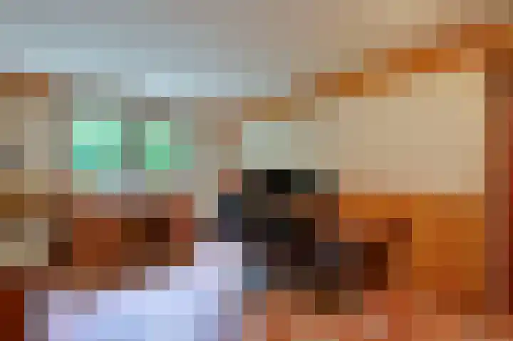 Vogelenzang 10 Malden thumbnail 21