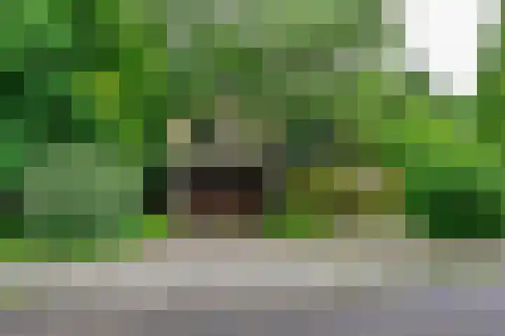 Vogelenzang 10 Malden thumbnail 25