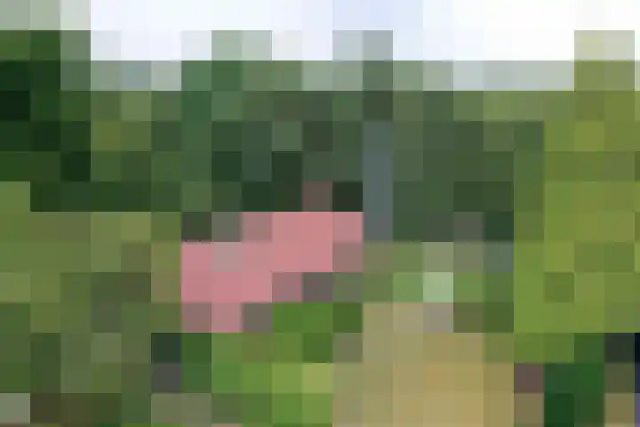 Vogelenzang 10 Malden thumbnail 26