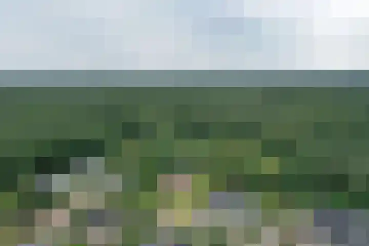 Vogelenzang 10 Malden thumbnail 29