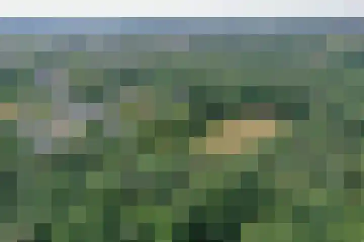Vogelenzang 10 Malden thumbnail 30