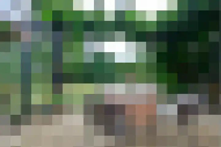 Vogelenzang 10 Malden thumbnail 6
